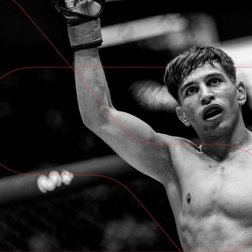 Diego Esteche banner